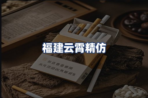 福建云霄精仿
